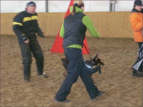 Training in Finland 11/2007